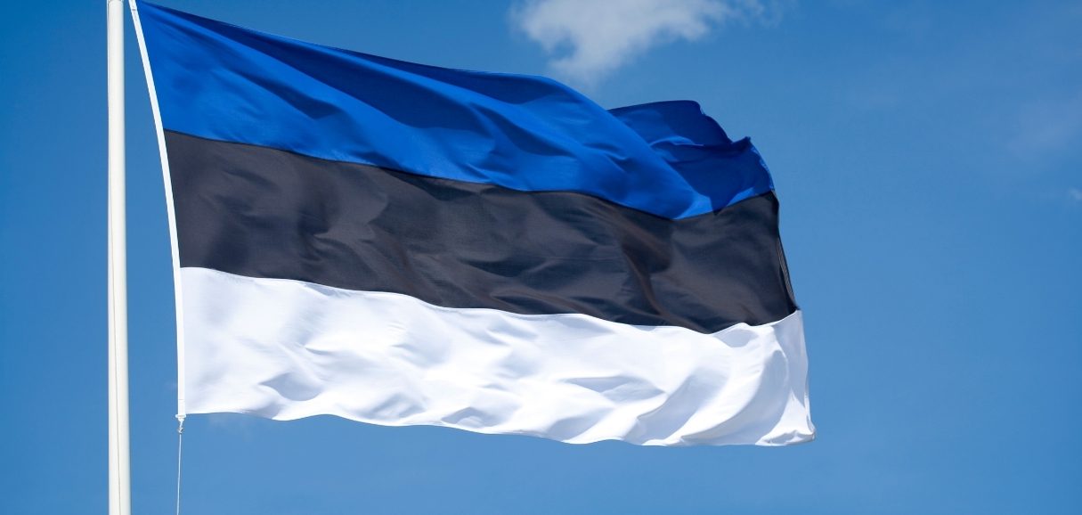 Estonya Şirket Türleri: Uluslararası Girişimcilerin Gözdesi