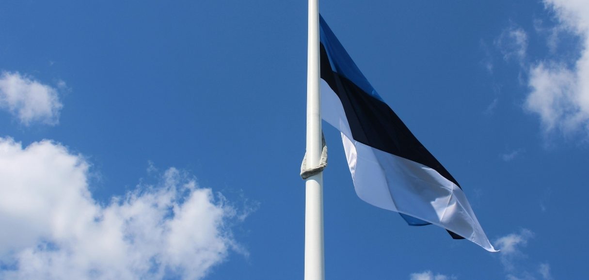 Estonya Vergi Sistemi: 2025'te Dijital Girişimciler İçin Neden Bir Devrim?