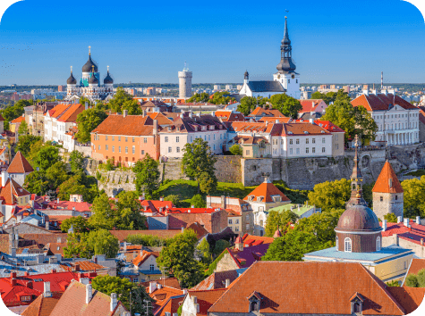 Estonya'da Şirket Kurma