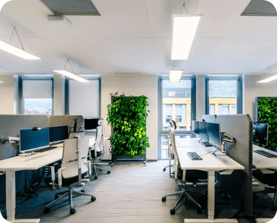 Malta'da şirket kurma danışmanlığı